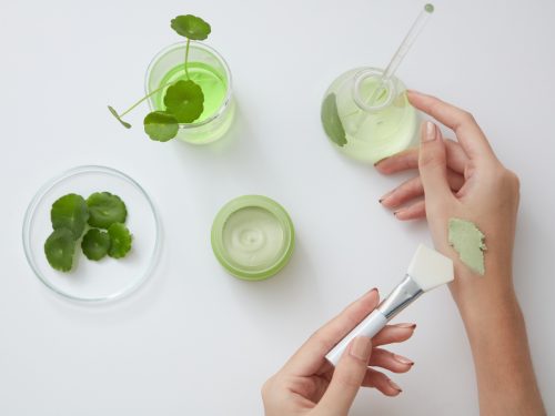 Centella asiatica